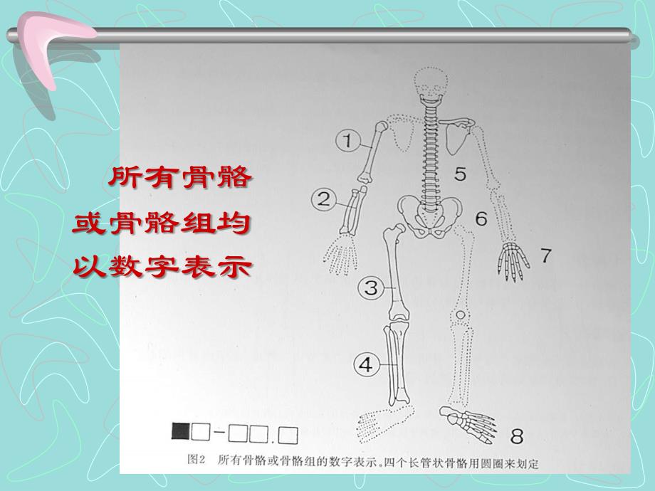 四肢长管状骨的-AO-综合分类_第4页