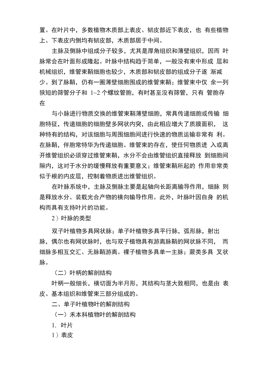 叶的解剖结构_第3页