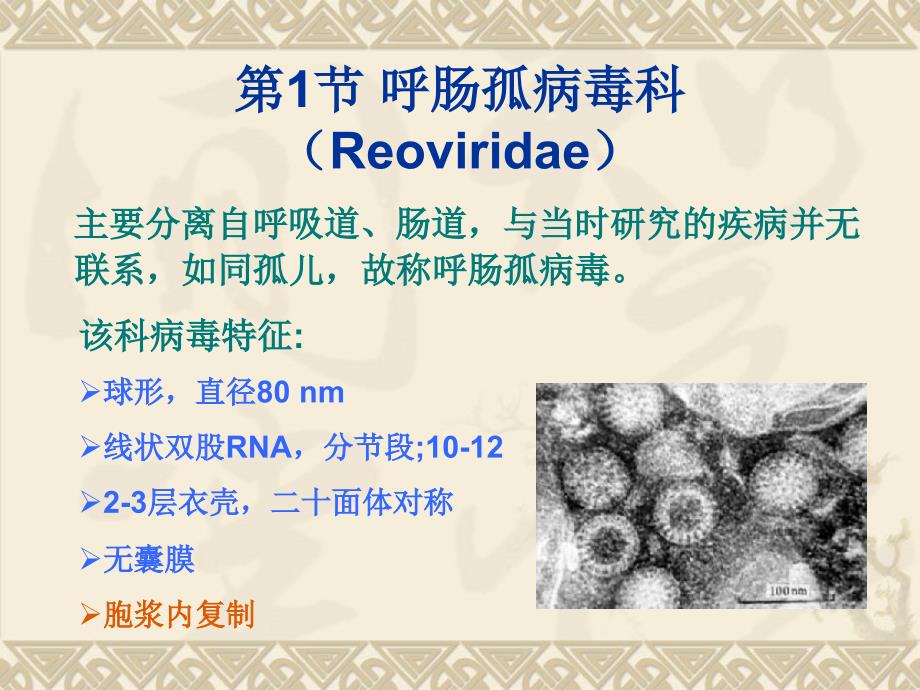 兽医微生物学教学课件15.双股rna病毒_第2页