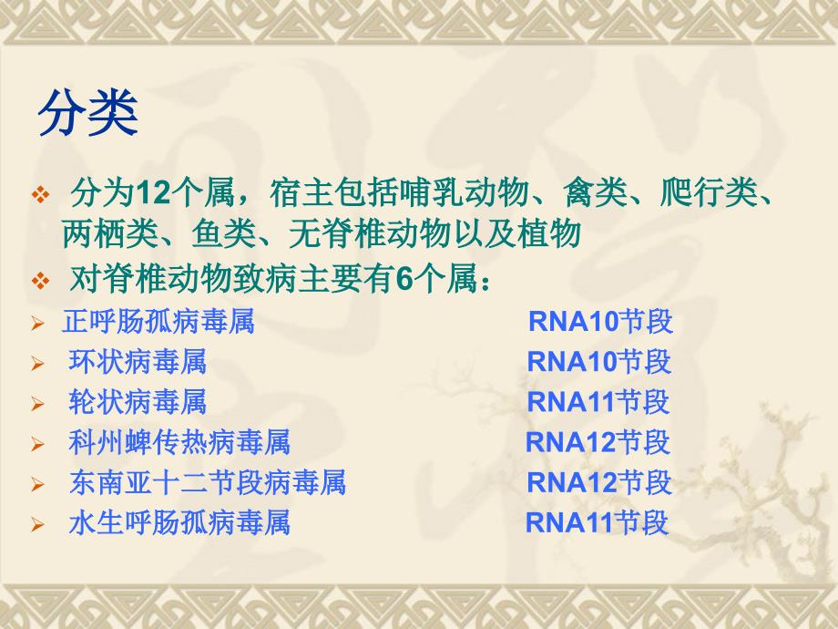 兽医微生物学教学课件15.双股rna病毒_第4页