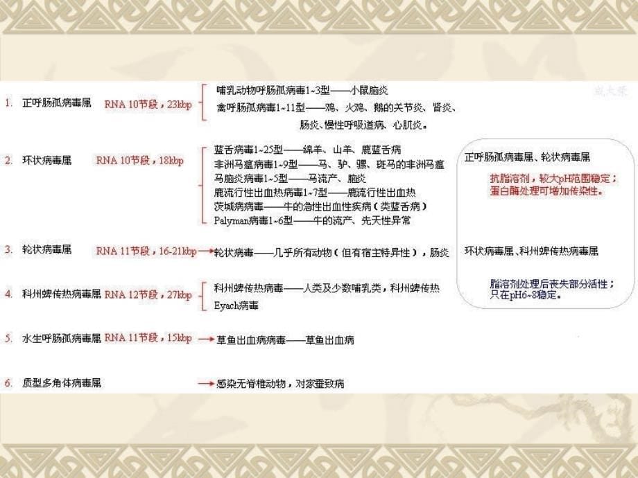 兽医微生物学教学课件15.双股rna病毒_第5页