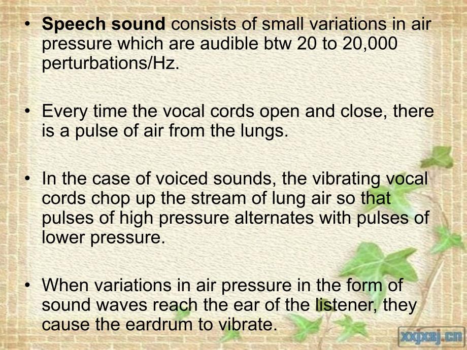 acousticphonetics_第3页