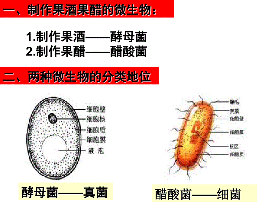 高中生物选修一的课件集_第3页