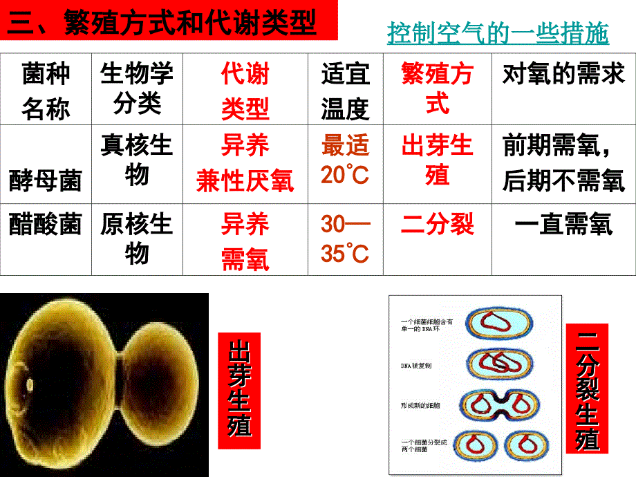 高中生物选修一的课件集_第4页