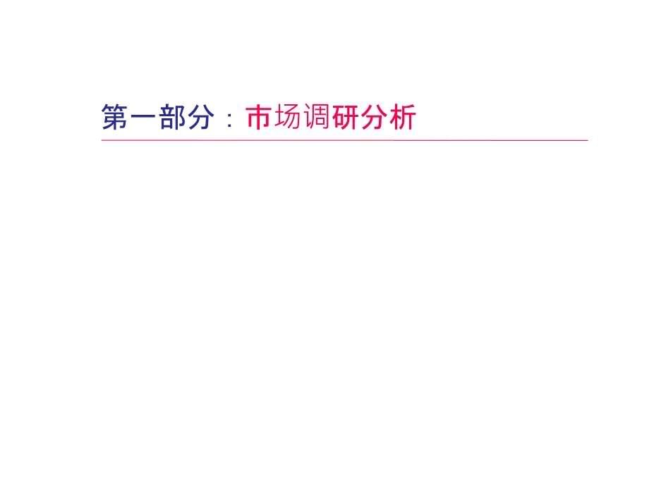 天基地产双鸭山新兴地下商业街整合营销策略纲要_第5页