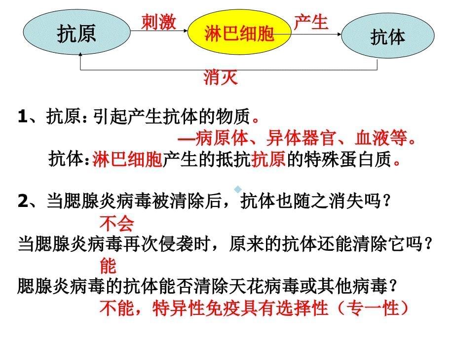 济南版生物学免疫复习课件_第5页