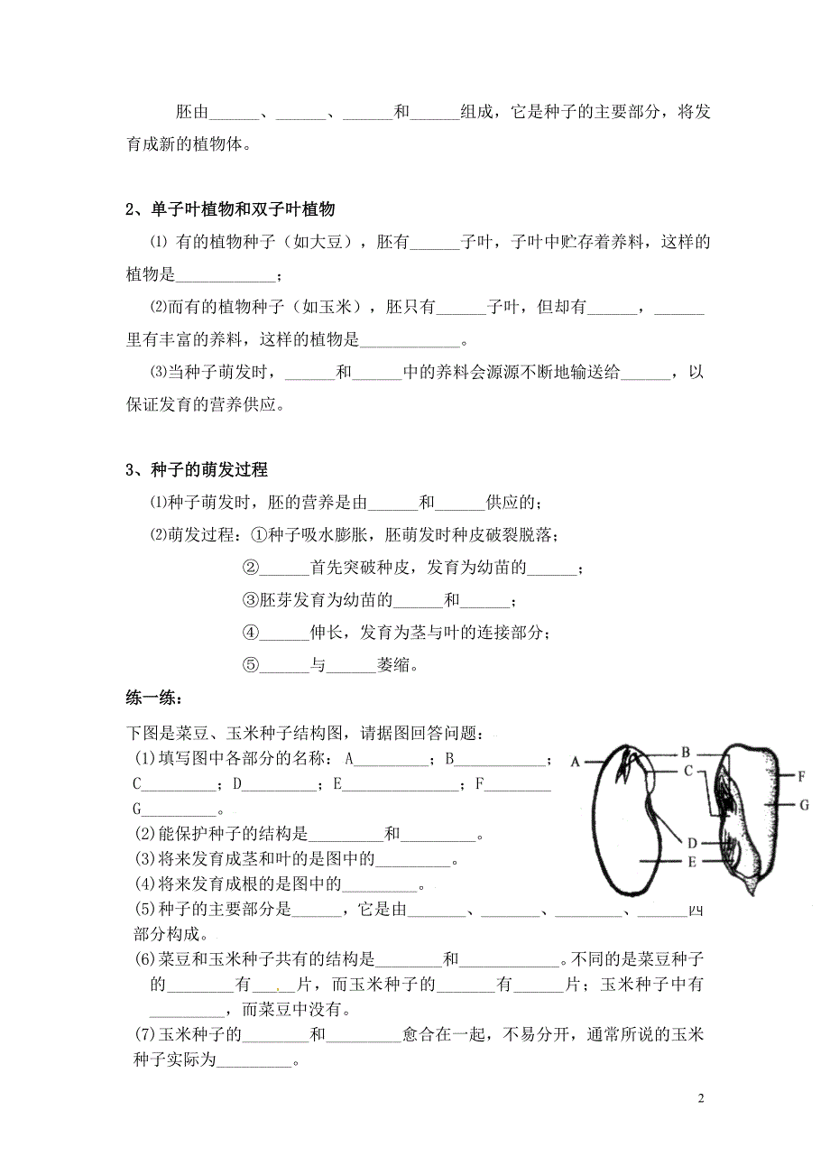 61种子萌发形成幼苗(上课）_第2页