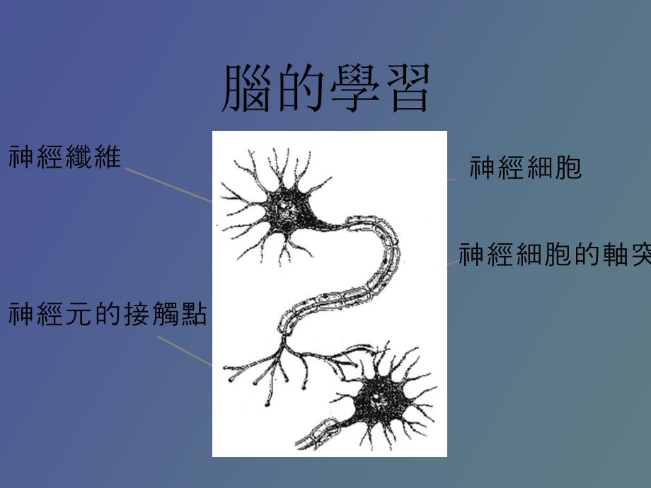 思维、概念形成与问题解决简要_第4页