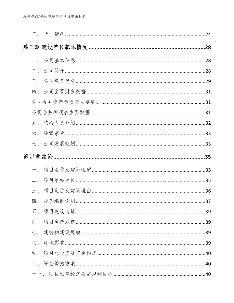 岳阳电缆研发项目申请报告_第4页