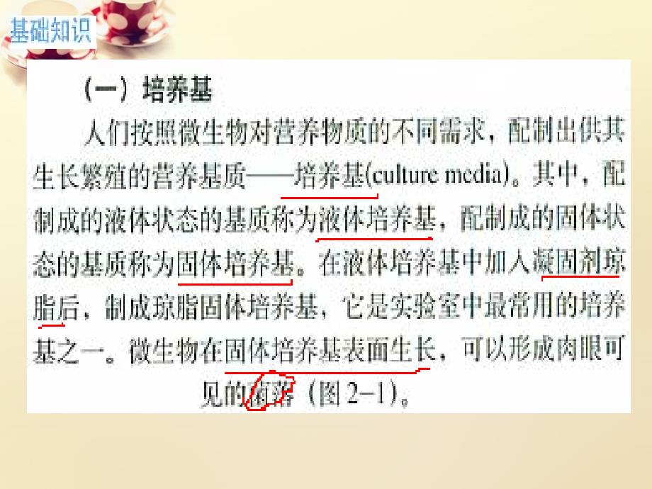 2022高中生物专题2课题1微生物的实验室培养课件新人教版选修1_第4页