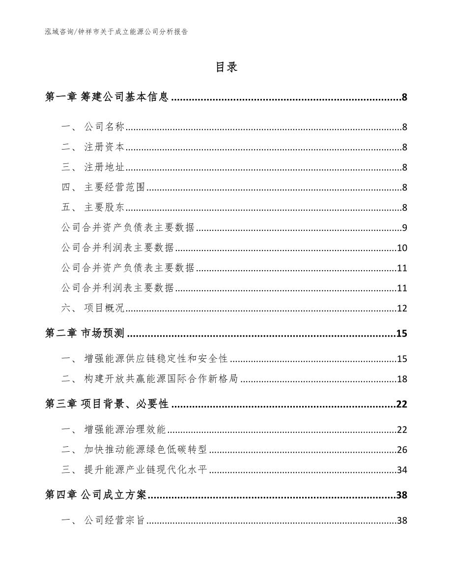 钟祥市关于成立能源公司分析报告【范文参考】_第2页