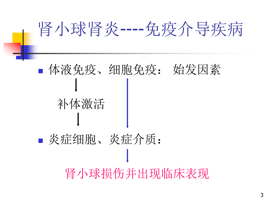 肾小球疾病的免疫学发病机理ppt课件_第3页