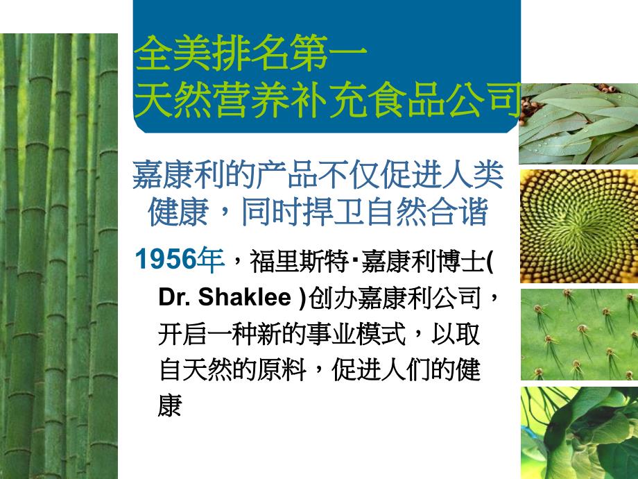 嘉康利与众同之处TheShakleeDifferenceP_第3页