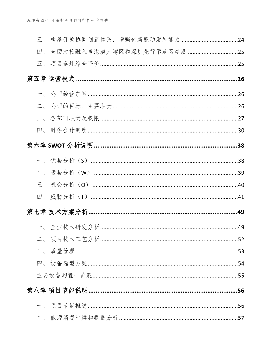 阳江密封胶项目可行性研究报告（模板）_第2页