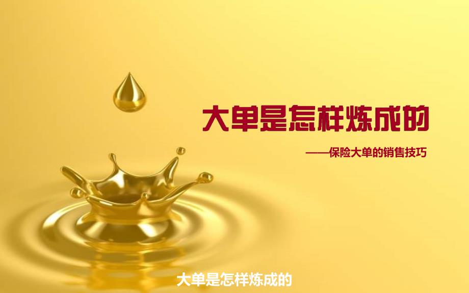 大单是怎样炼成的课件_第1页