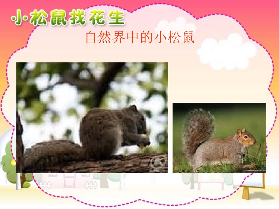 人教版小学一年级语文上小松鼠找花生课件_第1页