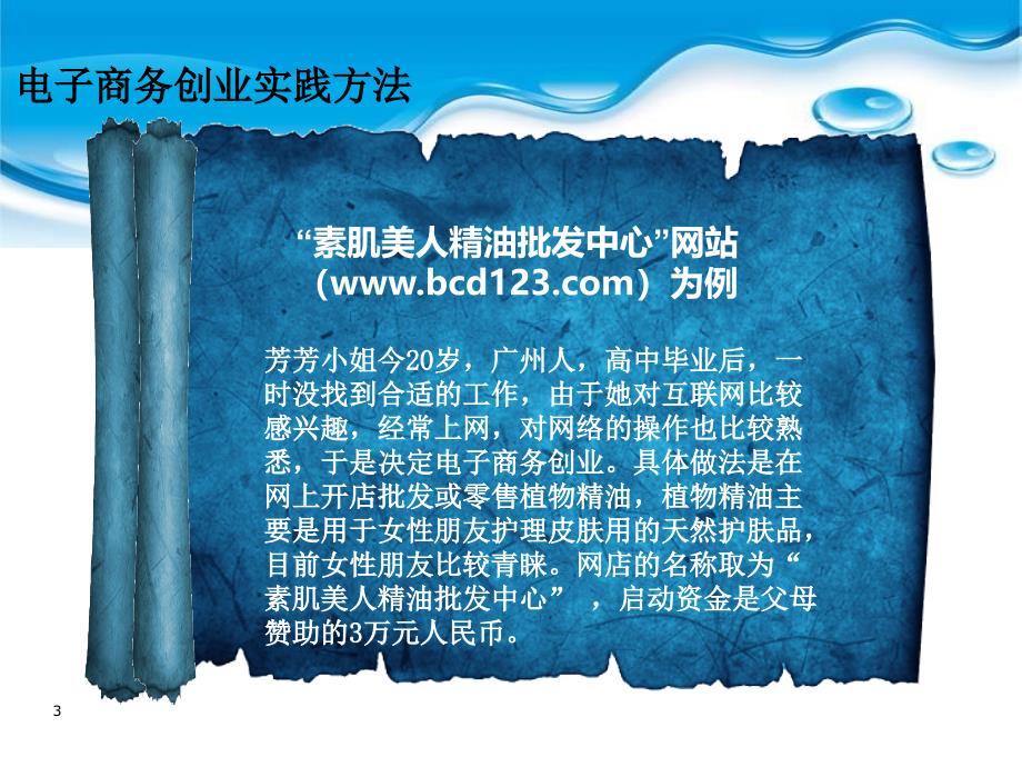 第13章电子商务应用案例课件_第3页