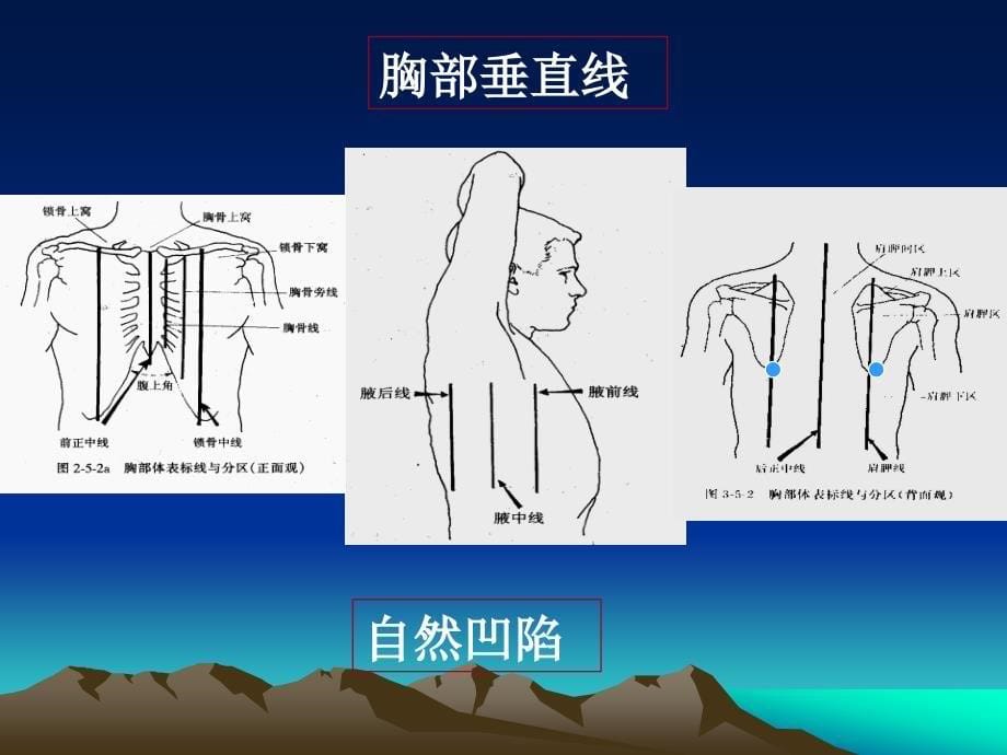 胸部及肺与胸膜检查课件_第5页