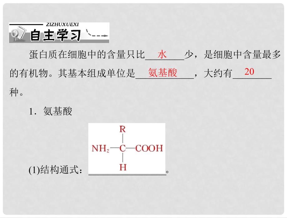 高中生物 第2章 第2节 生命活动的主要承担者——蛋白质课件 新人教版必修1_第2页