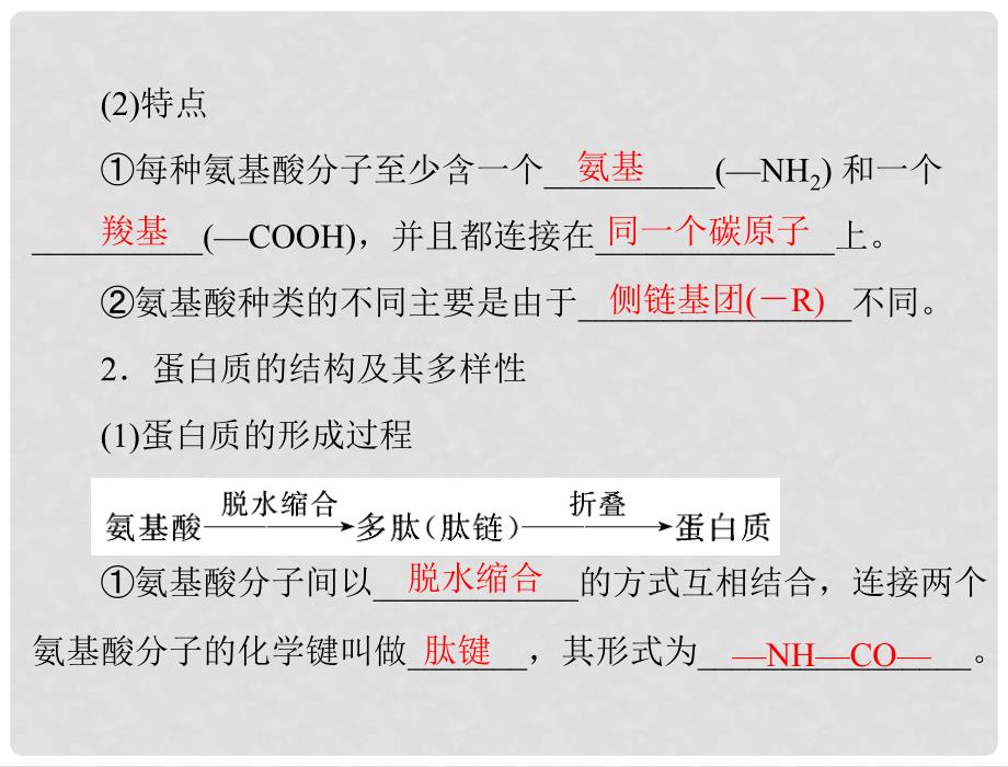 高中生物 第2章 第2节 生命活动的主要承担者——蛋白质课件 新人教版必修1_第3页