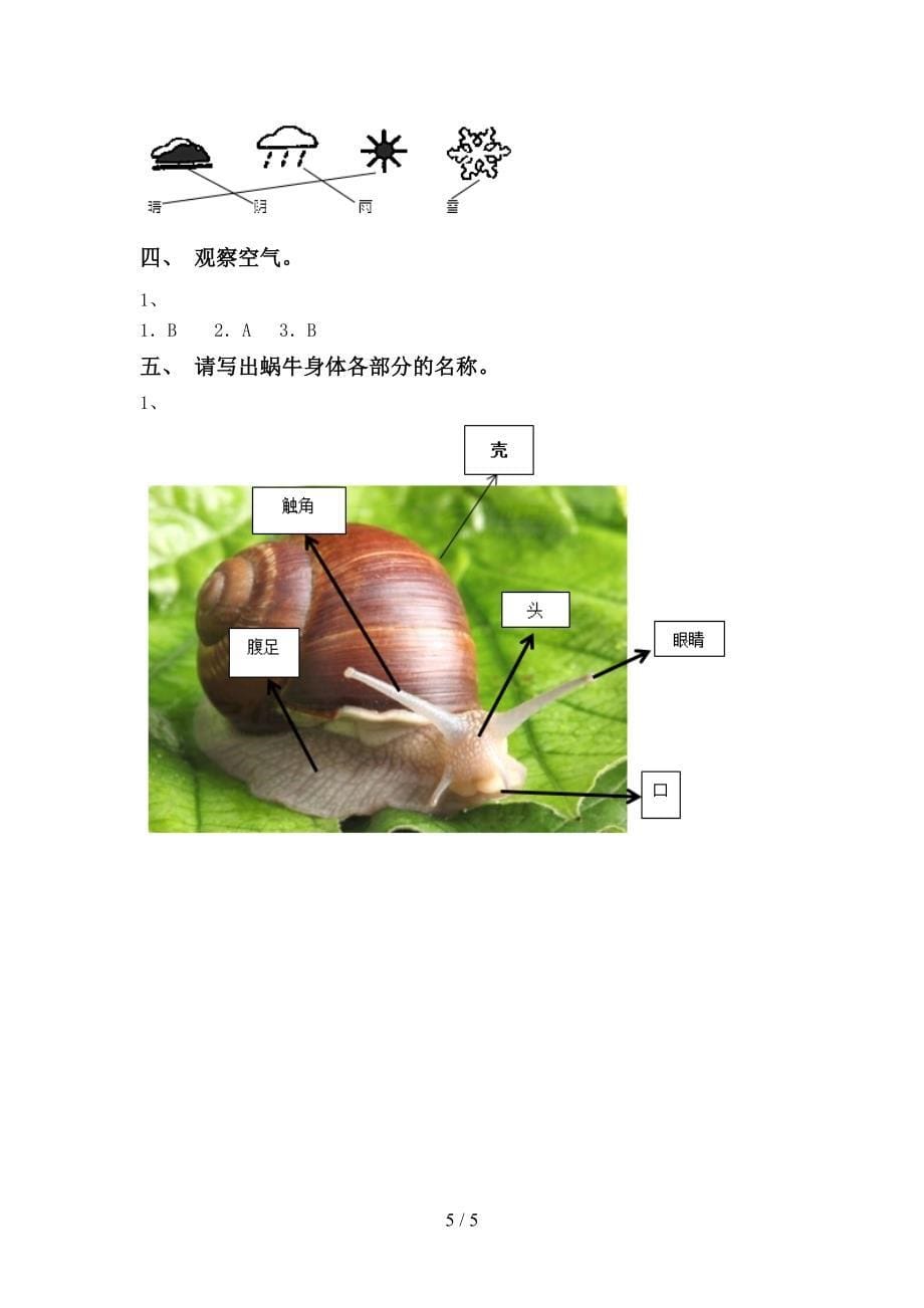 2022年教科版一年级科学上册期中测试卷(全面).doc_第5页