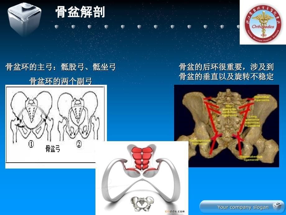 骨盆骨折的分型及治疗课件_第5页