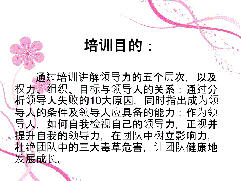 培养你的领导力_第3页