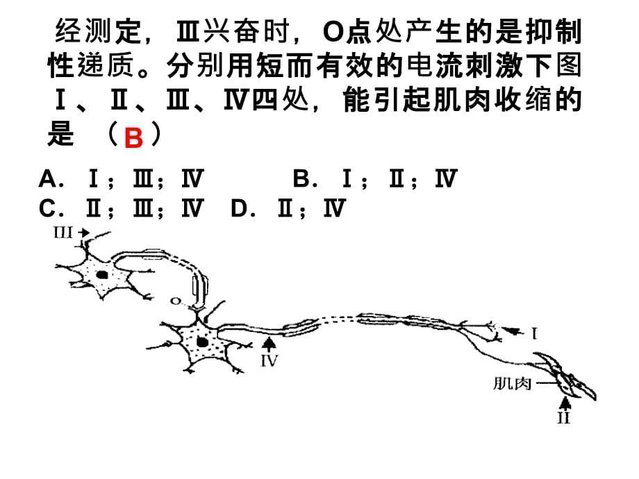 神经调节与免疫_第5页