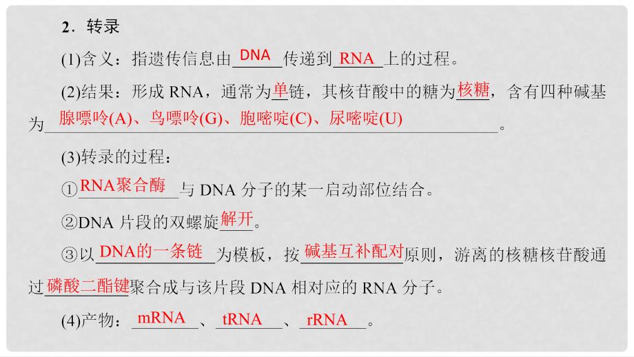 高中生物 第3章 遗传的分子基础 第4节 遗传信息的表达——RNA和蛋白质的合成（Ⅰ）课件 浙科版必修2_第4页