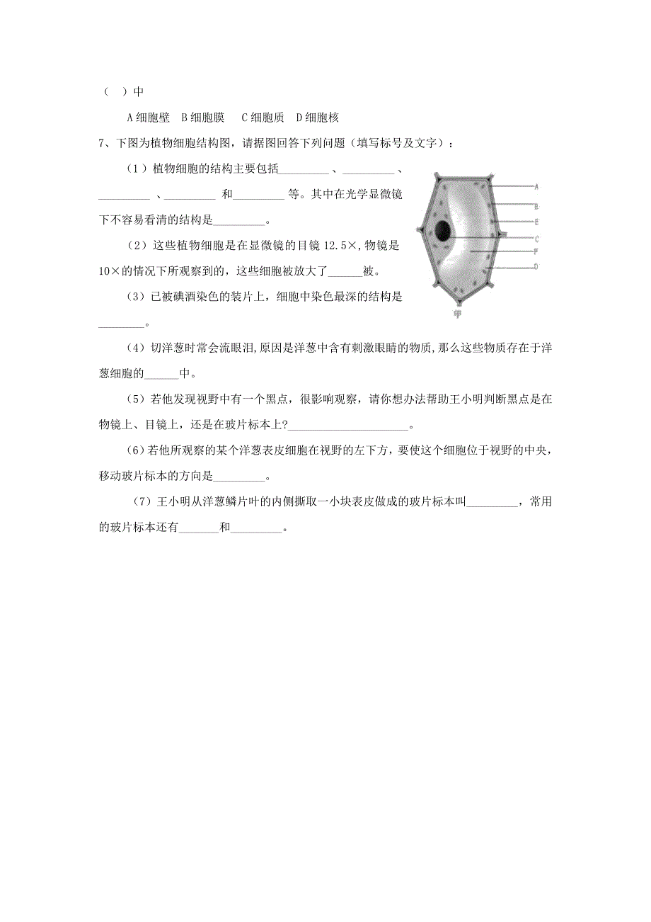 七年级生物上册 2.1.2 植物细胞学案（无答案）（新版）新人教版（通用）_第3页