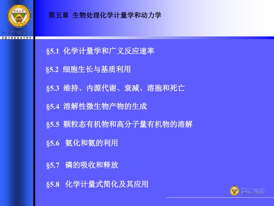 废水生物处理(第五章生物处理化学计量学和动力学)(精编)_第2页