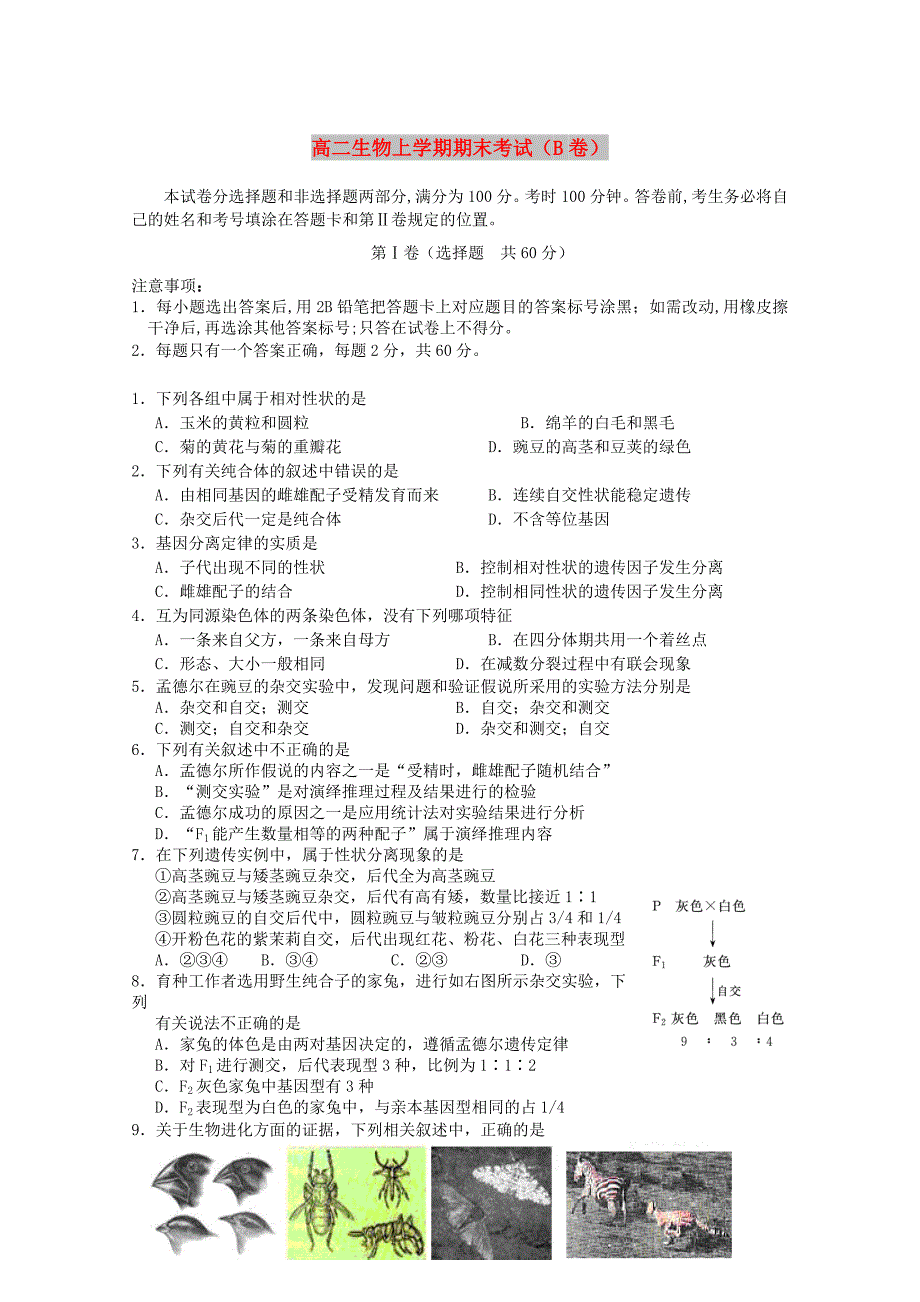 高二生物上学期期末考试（B卷）_第1页