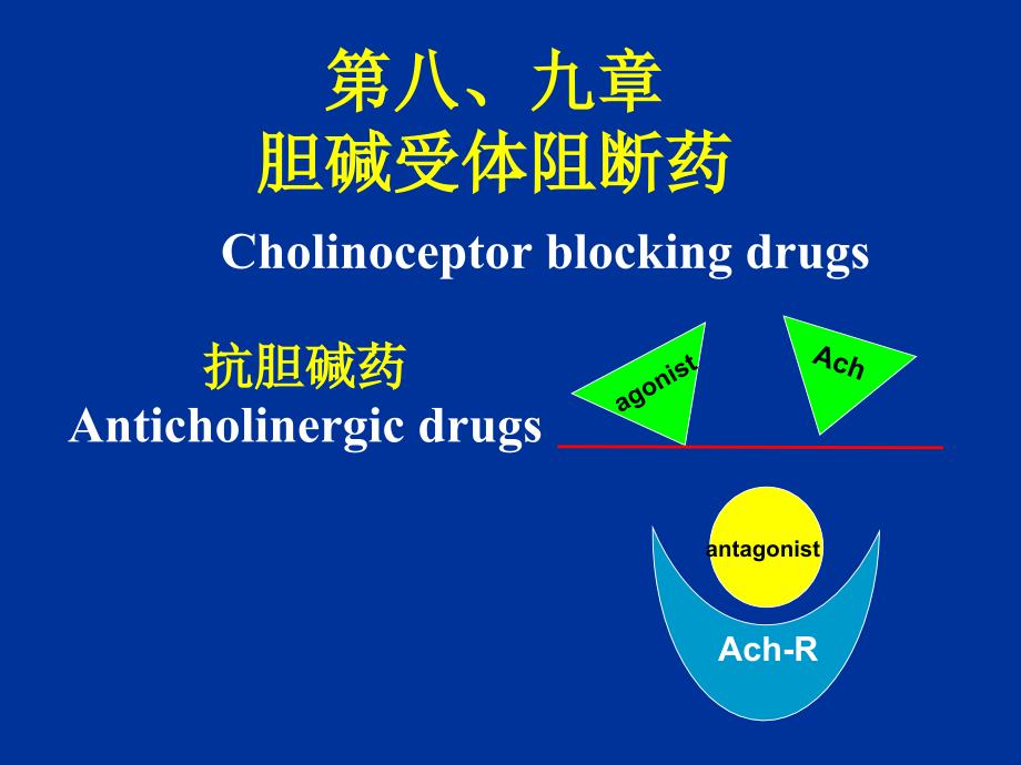 《胆碱阻断药》PPT课件_第1页