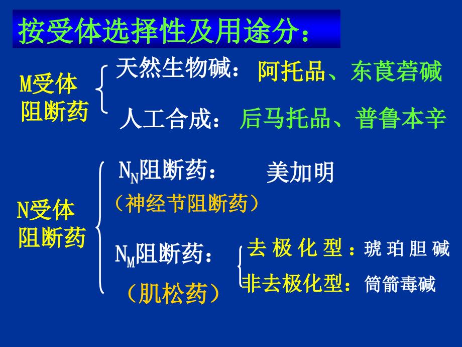 《胆碱阻断药》PPT课件_第2页