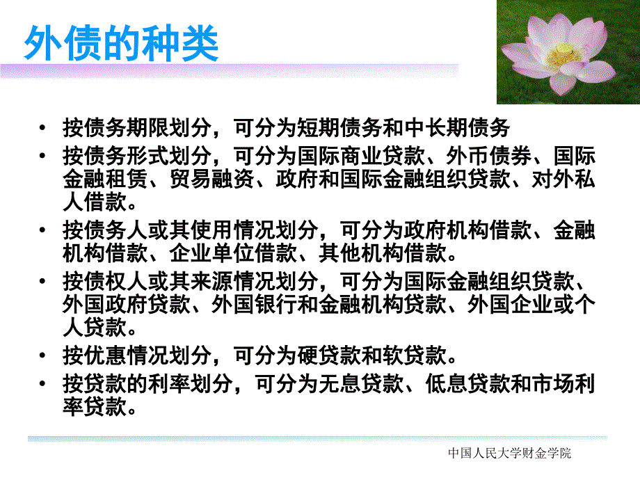 九章节外债管理_第4页