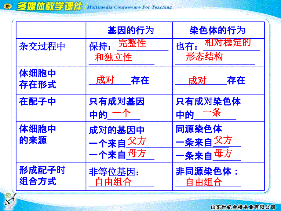 第2节基因在染色体上_第4页