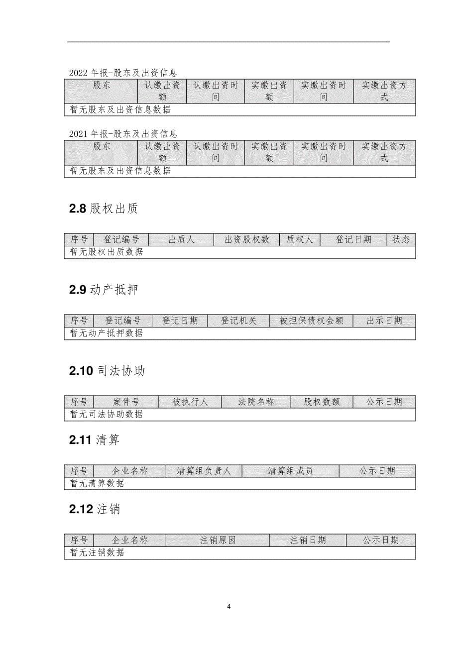 深圳国芯微半导体有限公司介绍企业发展分析报告_第5页