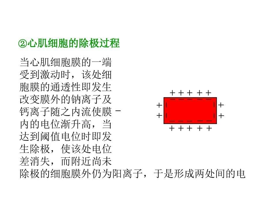 心电图知识培训要点_第5页