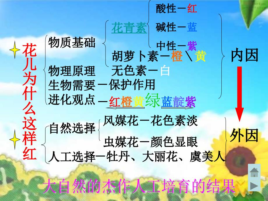 《花儿为什么这样红》课件_第3页