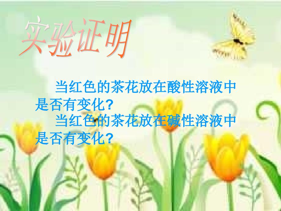 《花儿为什么这样红》课件_第4页