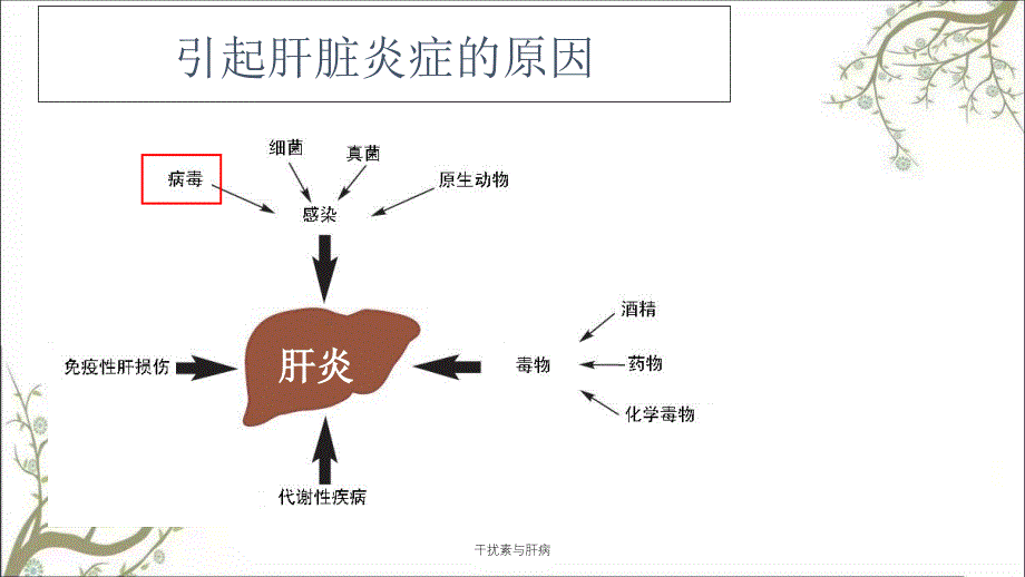 干扰素与肝病课件_第4页