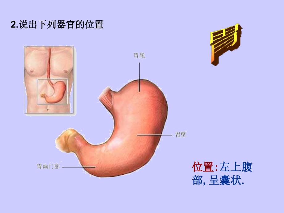 七年级生物消化与吸收_第4页