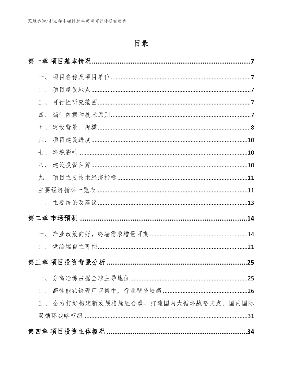 浙江稀土磁性材料项目可行性研究报告_参考范文_第1页