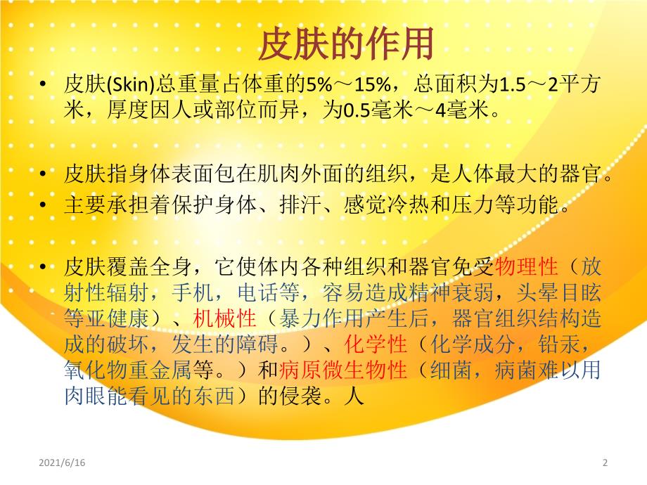 3、皮肤解剖学培训课件_第2页