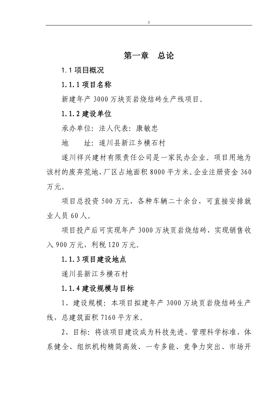 2023年遂川祥兴建材有限责任公司页岩砖厂可行性规划报告.doc_第1页