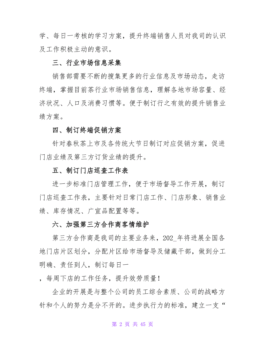 销售公司年度工作计划.doc_第2页