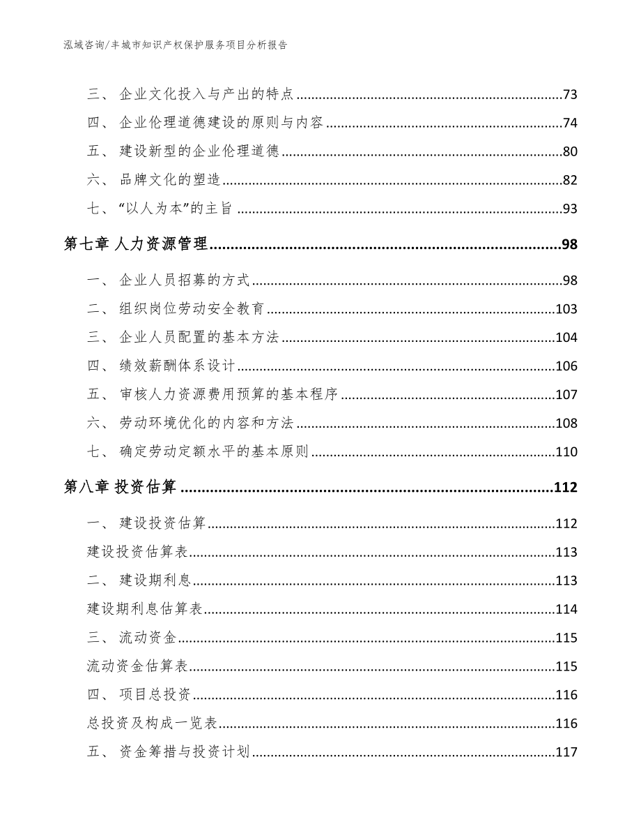 丰城市知识产权保护服务项目分析报告【模板参考】_第3页