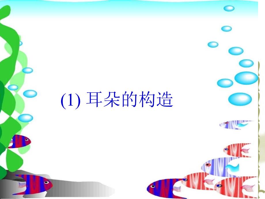 小学科学课件四年级上册我们是怎样听到声音的耳朵2_第2页