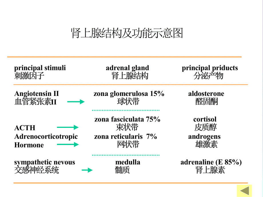 库欣综合征的诊断和治疗_第5页