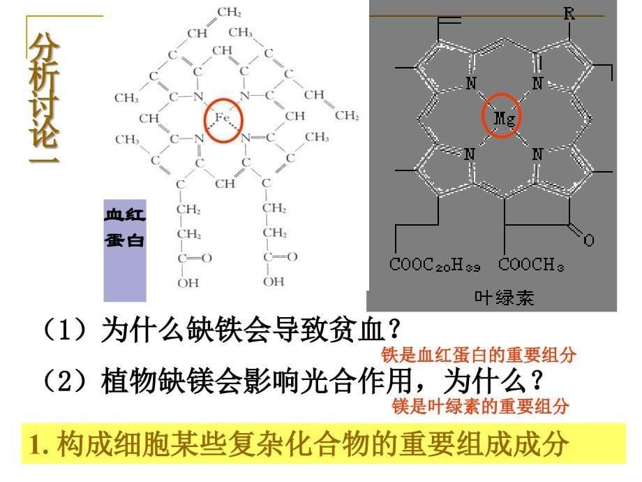 水生命之源PPT课件_第5页